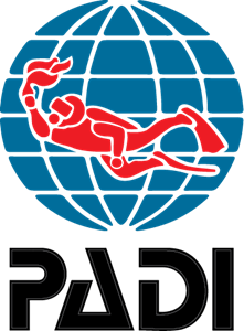 Padi